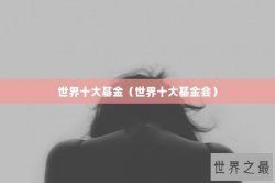世界十大基金（世界十大基金会）