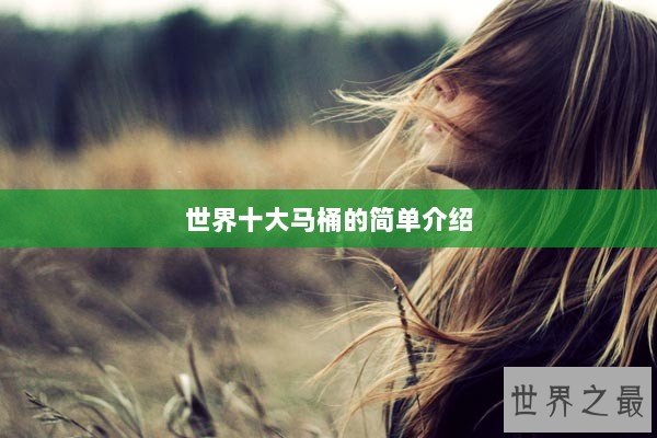 世界十大马桶的简单介绍