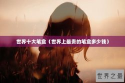 世界十大笔盒（世界上最贵的笔盒多少钱）