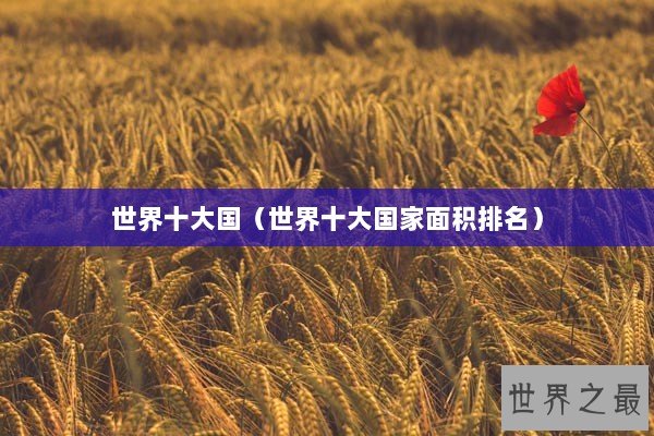 世界十大国（世界十大国家面积排名）