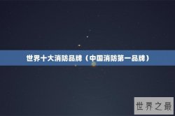 世界十大消防品牌（中国消防第一品牌）