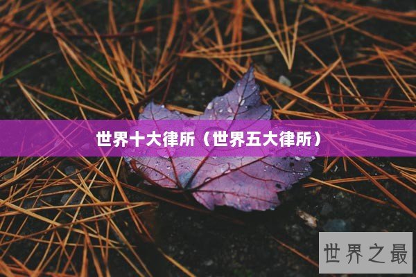 世界十大律所（世界五大律所）
