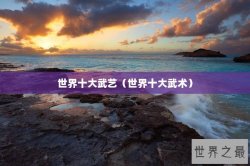 世界十大武艺（世界十大武术）
