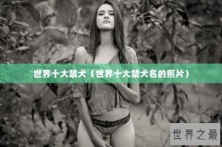 世界十大禁犬（世界十大禁犬名的照片）