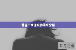 世界十大通缉的简单介绍