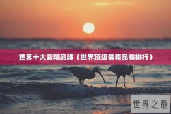 世界十大音箱品牌（世界顶级音箱品牌排行）