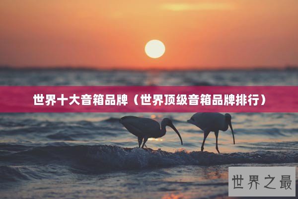 世界十大音箱品牌（世界顶级音箱品牌排行）
