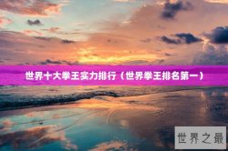 世界十大拳王实力排行（世界拳王排名第一）