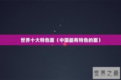 世界十大特色面（中国最有特色的面）