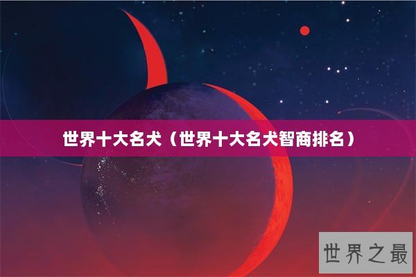 世界十大名犬（世界十大名犬智商排名）