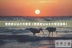 世界史公认十大帝王（世界史公认十大帝王排名）