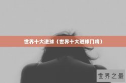 世界十大进球（世界十大进球门将）