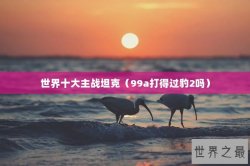 世界十大主战坦克（99a打得过豹2吗）