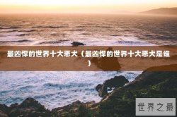 最凶悍的世界十大恶犬（最凶悍的世界十大恶犬是谁）