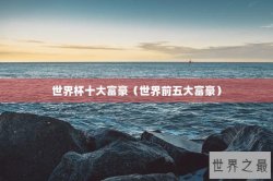 世界杯十大富豪（世界前五大富豪）