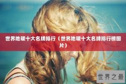 世界地暖十大名牌排行（世界地暖十大名牌排行榜图片）