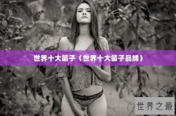 世界十大笛子（世界十大笛子品牌）