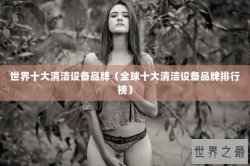 世界十大清洁设备品牌（全球十大清洁设备品牌排行榜）