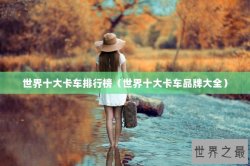 世界十大卡车排行榜（世界十大卡车品牌大全）