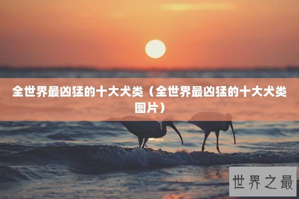 全世界最凶猛的十大犬类（全世界最凶猛的十大犬类图片）