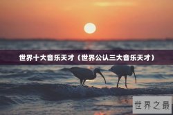 世界十大音乐天才（世界公认三大音乐天才）