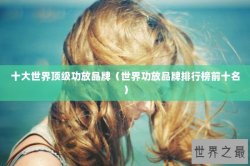十大世界顶级功放品牌（世界功放品牌排行榜前十名）