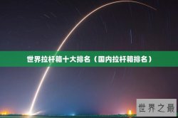 世界拉杆箱十大排名（国内拉杆箱排名）