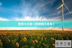 世界十大秀（世界四大名秀）