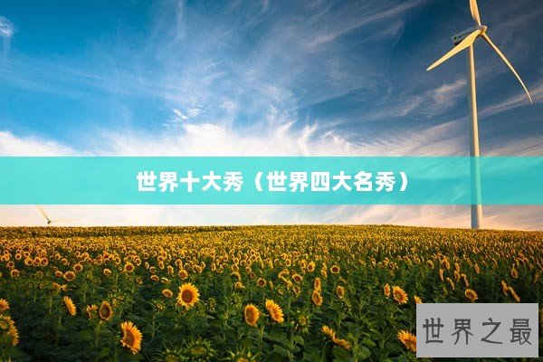 世界十大秀（世界四大名秀）
