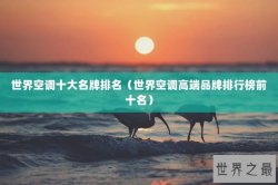 世界空调十大名牌排名（世界空调高端品牌排行榜前十名）