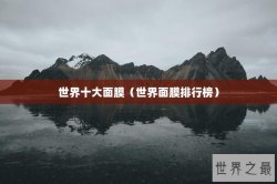 世界十大面膜（世界面膜排行榜）