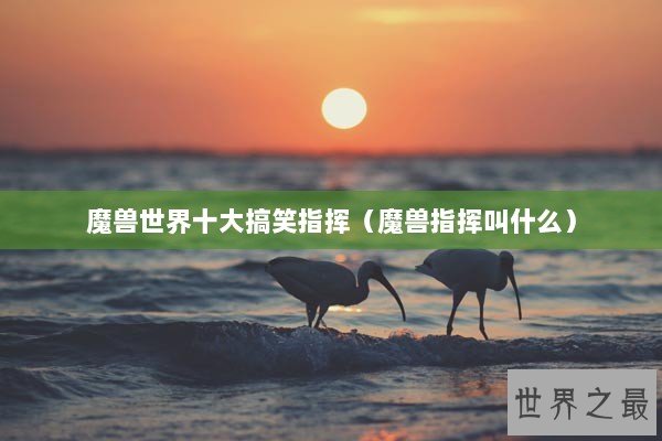 魔兽世界十大搞笑指挥(魔兽指挥叫什么) 魔兽世界十大搞笑指挥(魔兽指挥叫什么)