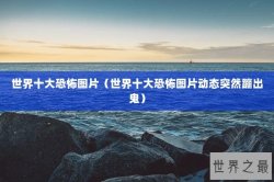 世界十大恐怖图片（世界十大恐怖图片动态突然蹦出鬼）