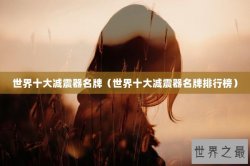 世界十大减震器名牌（世界十大减震器名牌排行榜）