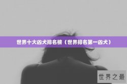 世界十大凶犬排名榜（世界排名第一凶犬）