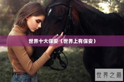 世界十大保安（世界上有保安）