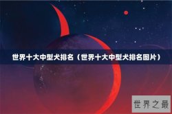 世界十大中型犬排名（世界十大中型犬排名图片）
