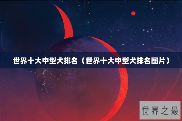 世界十大中型犬排名（世界十大中型犬排名图片）