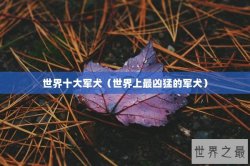 世界十大军犬（世界上最凶猛的军犬）