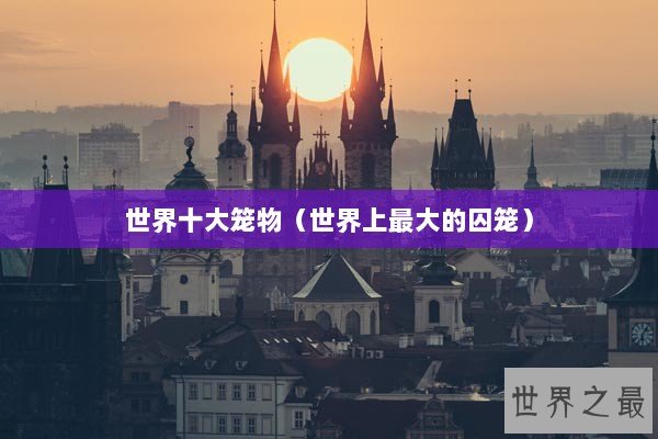 世界十大笼物（世界上最大的囚笼）