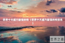 世界十大威力最强的枪（世界十大威力最强的枪排名）
