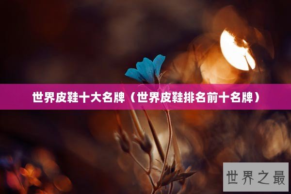世界皮鞋十大名牌（世界皮鞋排名前十名牌）