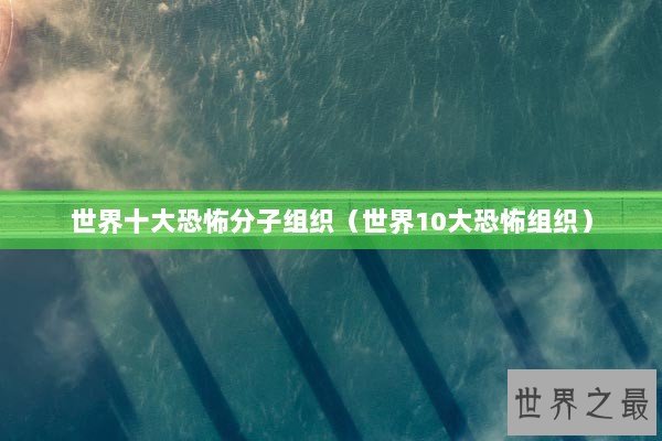 世界十大恐怖分子组织（世界10大恐怖组织）
