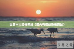 世界十大恐怖网站（国内有哪些恐怖网站）