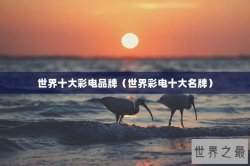 世界十大彩电品牌（世界彩电十大名牌）