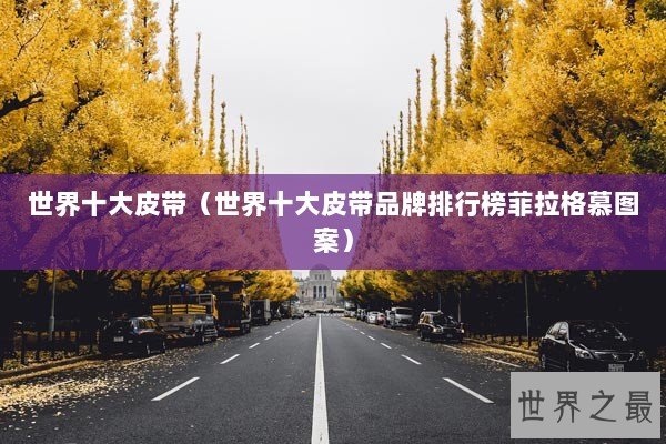 世界十大皮带（世界十大皮带品牌排行榜菲拉格慕图案）