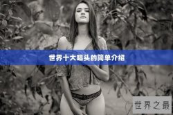 世界十大唱头的简单介绍