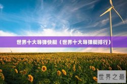 世界十大导弹快艇（世界十大导弹艇排行）