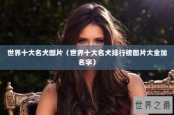 世界十大名犬图片（世界十大名犬排行榜图片大全加名字）