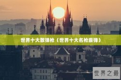 世界十大散弹枪（世界十大名枪霰弹）